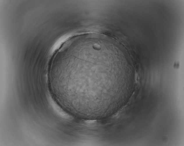 X0000113250054200909241621