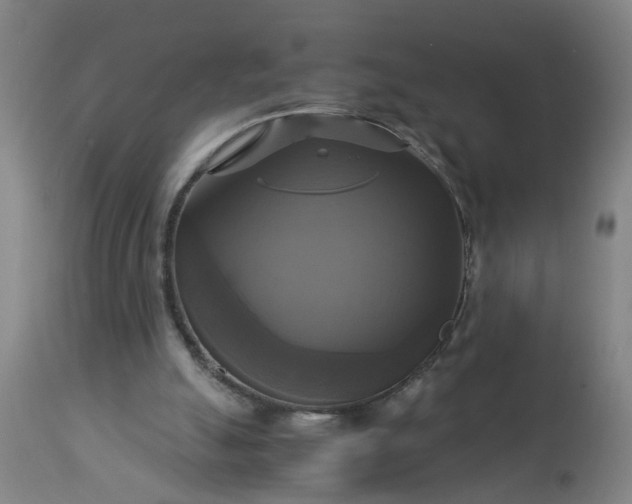 X0000113250055200909241621