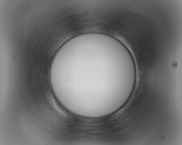 X0000113250057200909241621