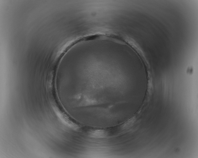 X0000113250058200909241621