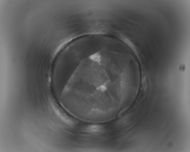 X0000113250059200909241621