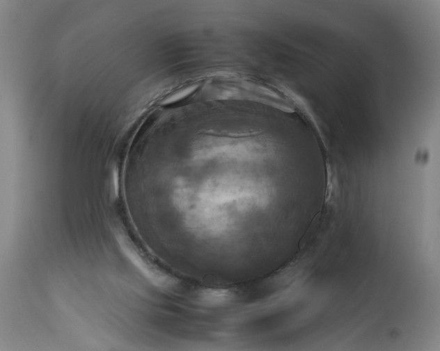 X0000113250061200909241621