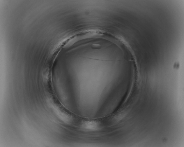 X0000113250063200909241621