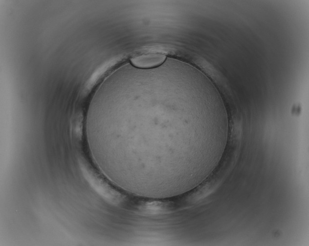 X0000113250064200909241621