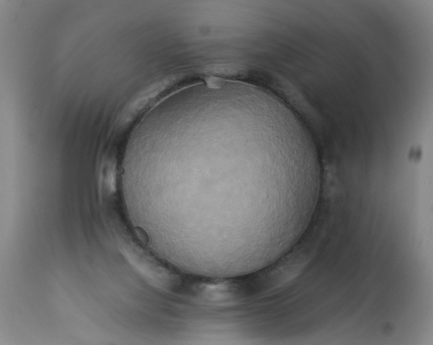 X0000113250068200909241621