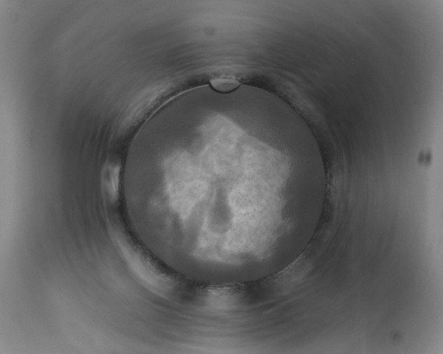 X0000113250070200909241621