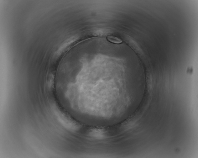 X0000113250071200909241621