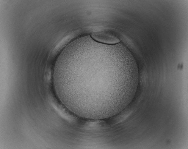 X0000113250072200909241621