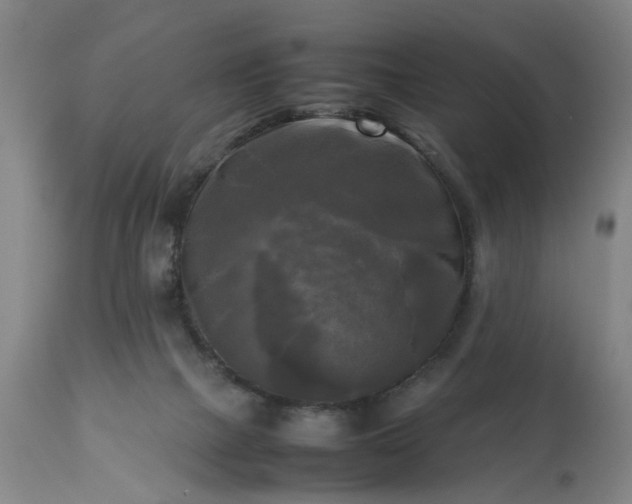 X0000113250073200909241621