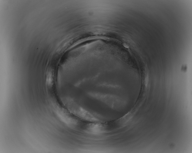 X0000113250074200909241621