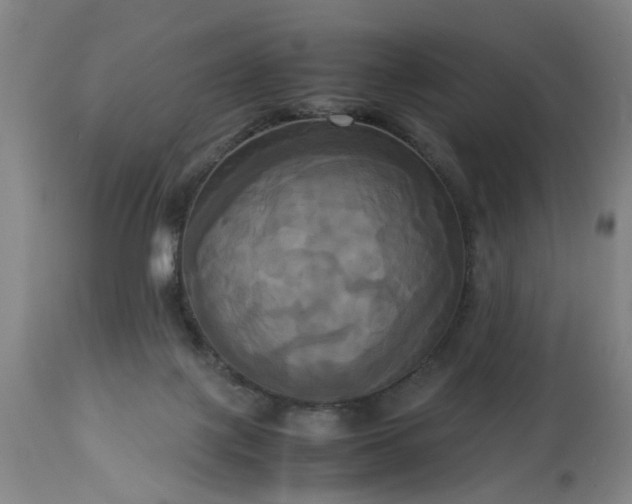 X0000113250075200909241621