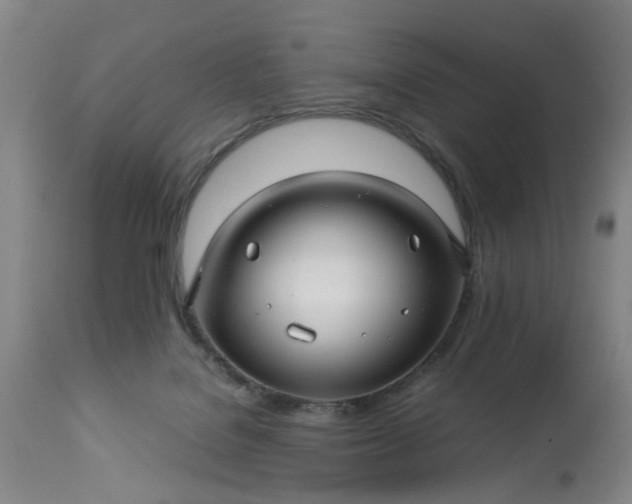 X0000113250076200909241621