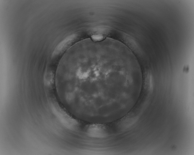 X0000113250077200909241621