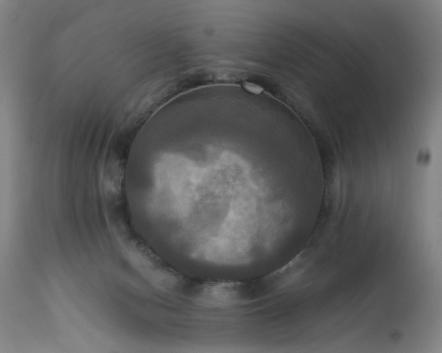 X0000113250078200909241621