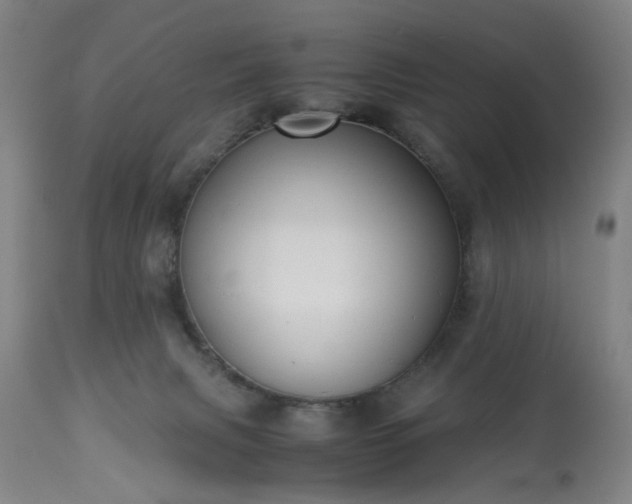 X0000113250079200909241621