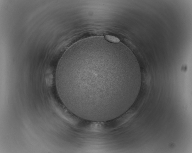 X0000113250080200909241621