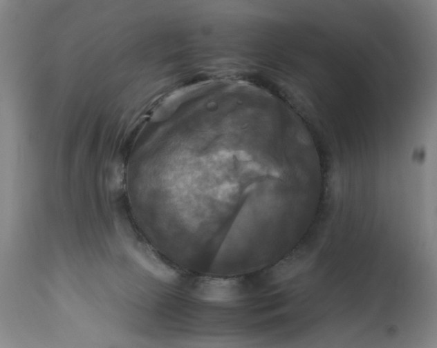 X0000113250081200909241621