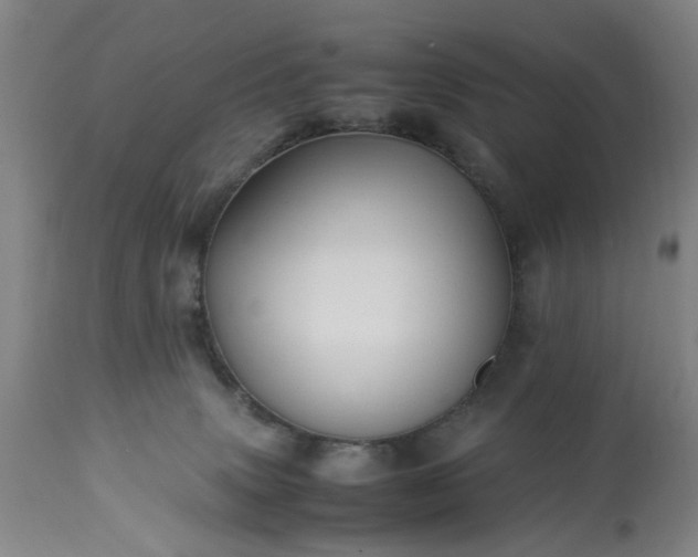 X0000113250083200909241622