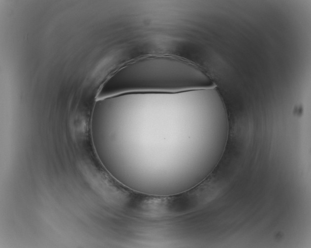 X0000113250084200909241622