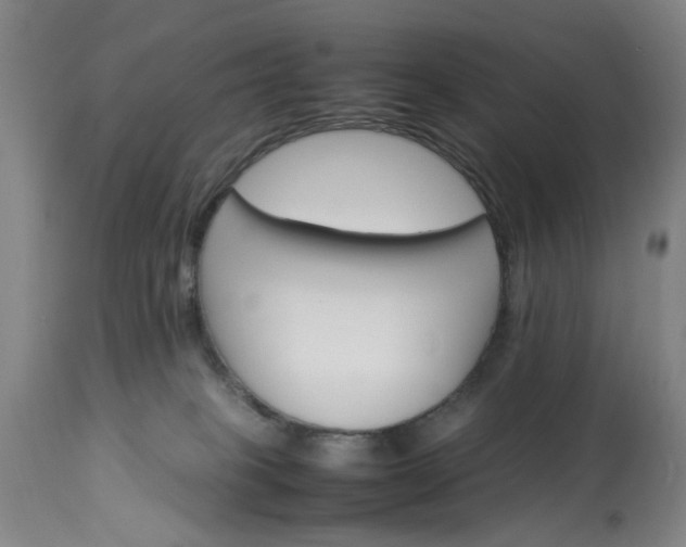 X0000113250085200909241622