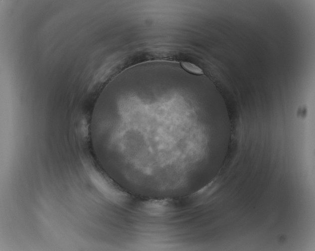 X0000113250086200909241622