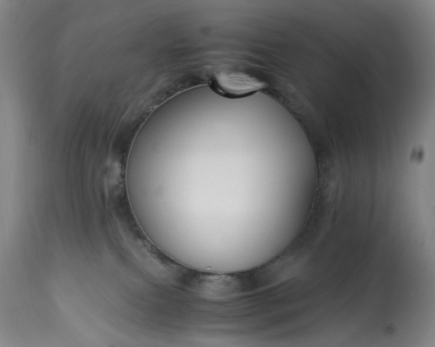 X0000113250087200909241622