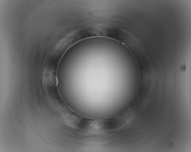 X0000113250088200909241622