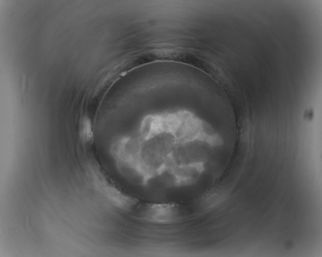 X0000113250089200909241622