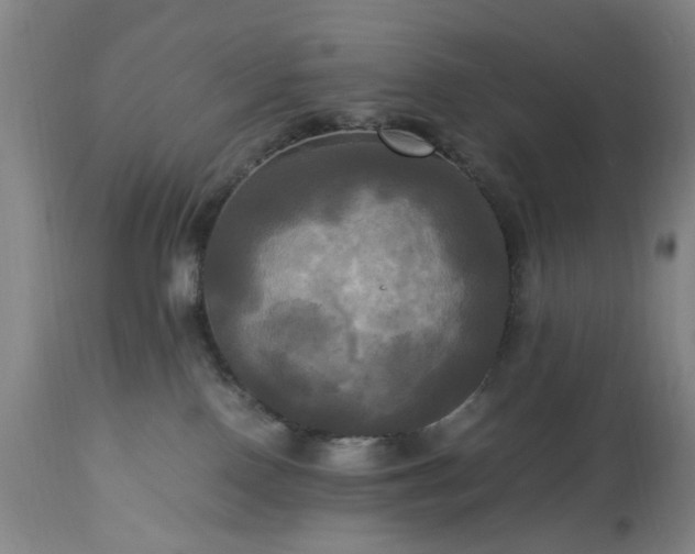 X0000113250090200909241622