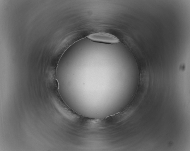 X0000113250092200909241622