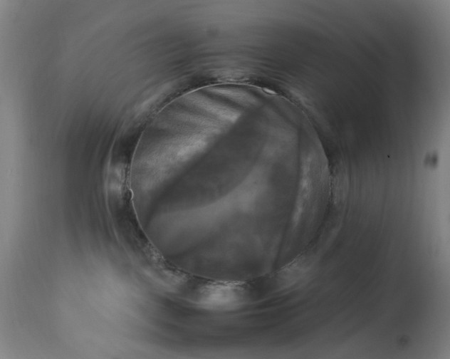 X0000113250093200909241622