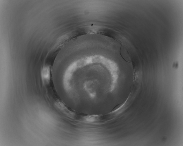 X0000113250094200909241622