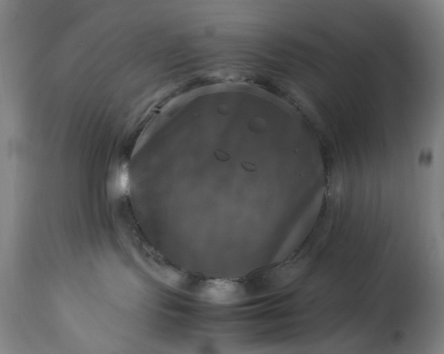 X0000113250095200909241622