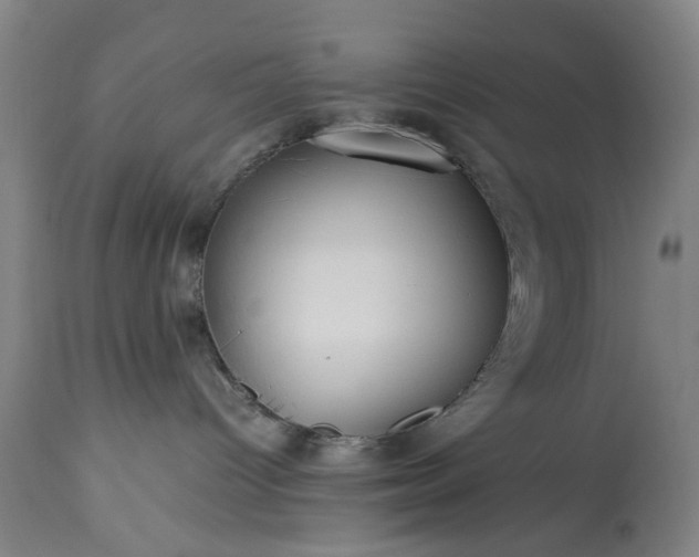 X0000113250096200909241622