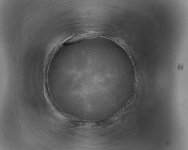 X0000113250097200909241621