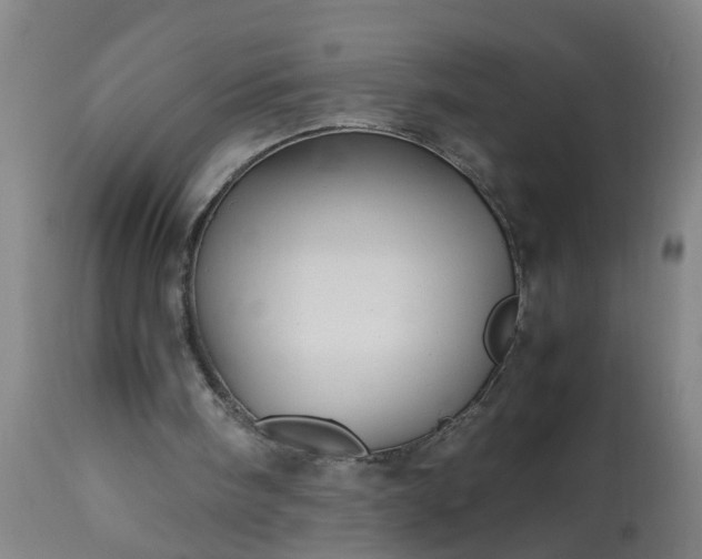 X0000113250098200909241621