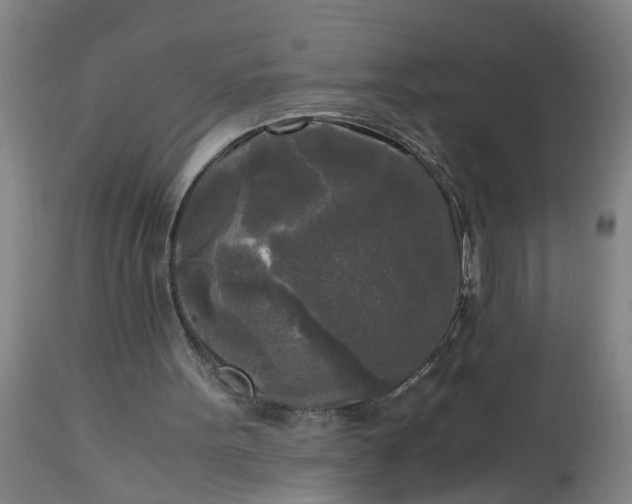 X0000113250099200909241621