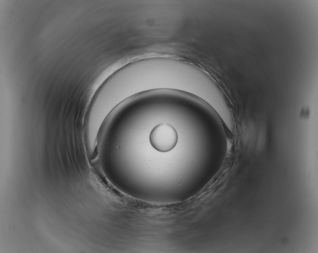 X0000113250100200909241621