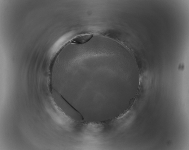 X0000113250101200909241621