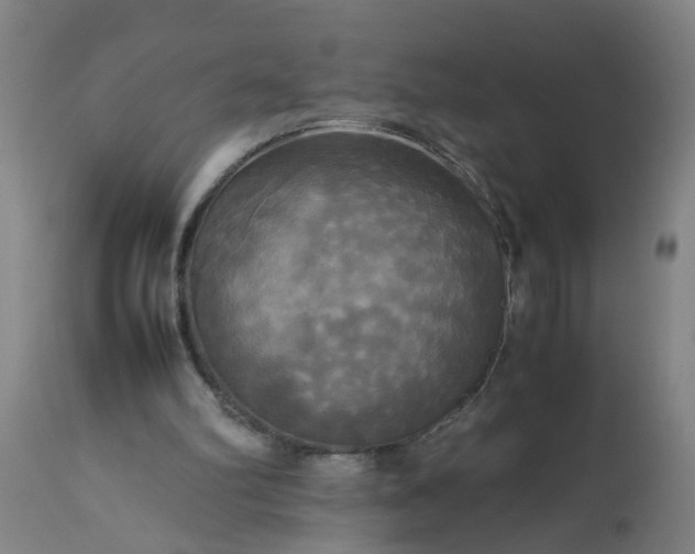 X0000113250102200909241621