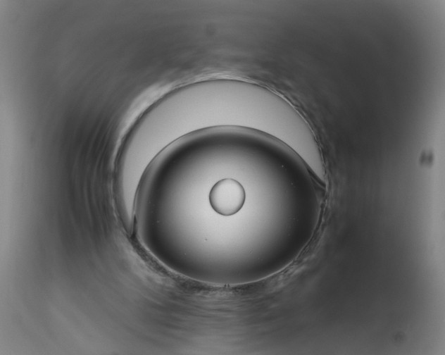 X0000113250104200909241621