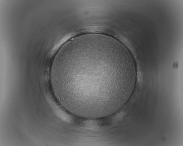 X0000113250105200909241621