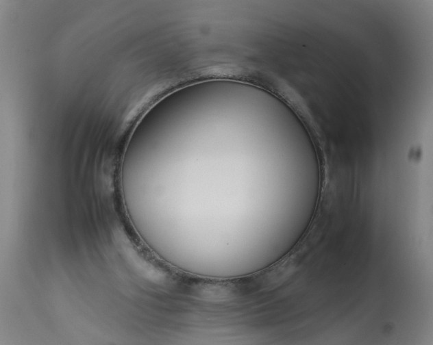 X0000113250106200909241621