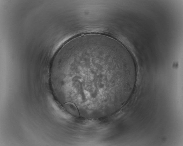 X0000113250107200909241621