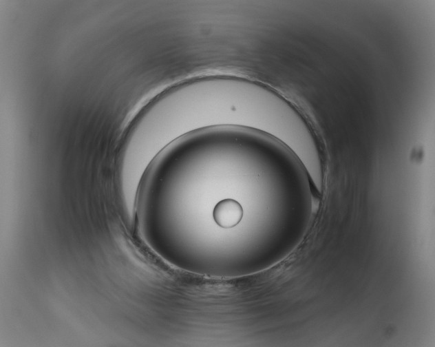 X0000113250108200909241621