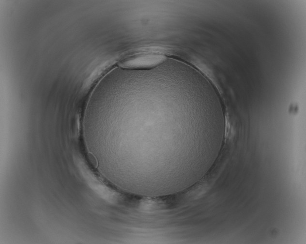 X0000113250109200909241621