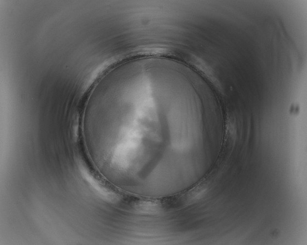 X0000113250110200909241621