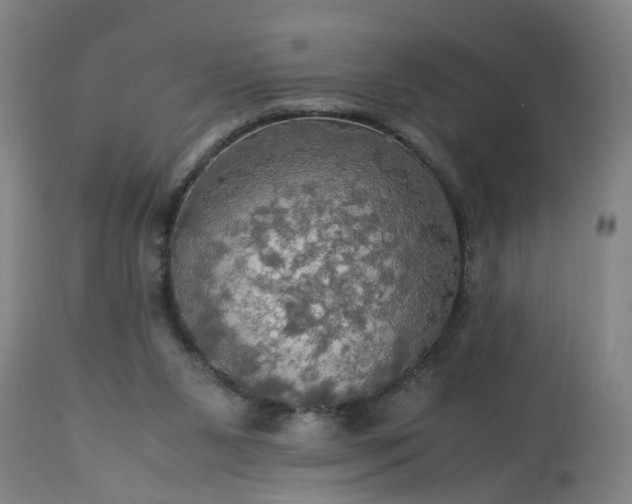 X0000113250111200909241621