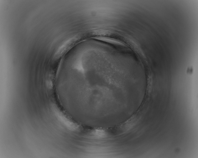 X0000113250114200909241621