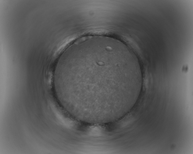 X0000113250115200909241621